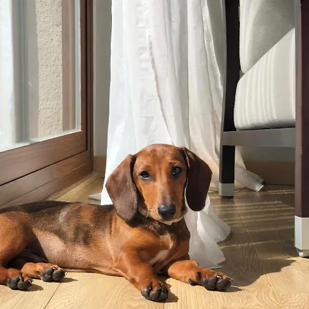 Cresol Hotel Calaceite