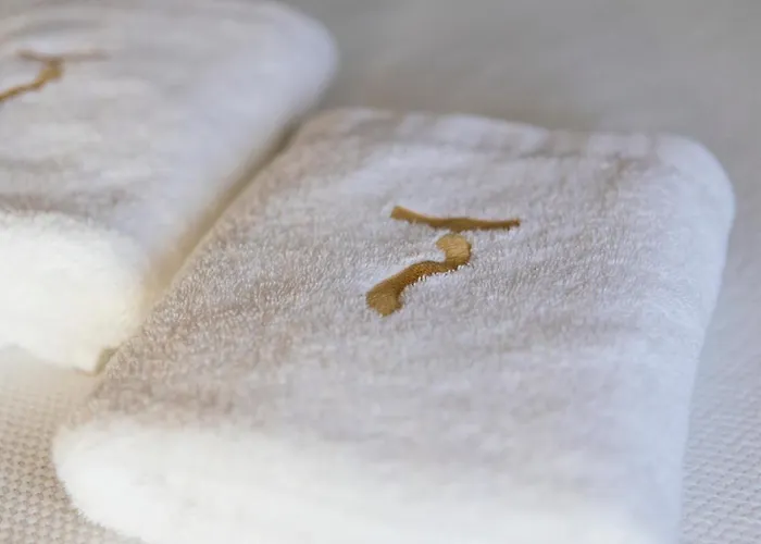 酒店 克雷索尔酒店 3*