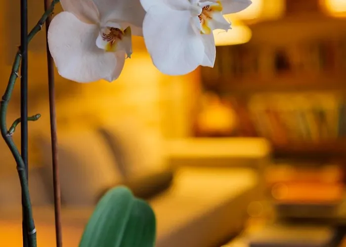 Cresol Hotell Calaceite